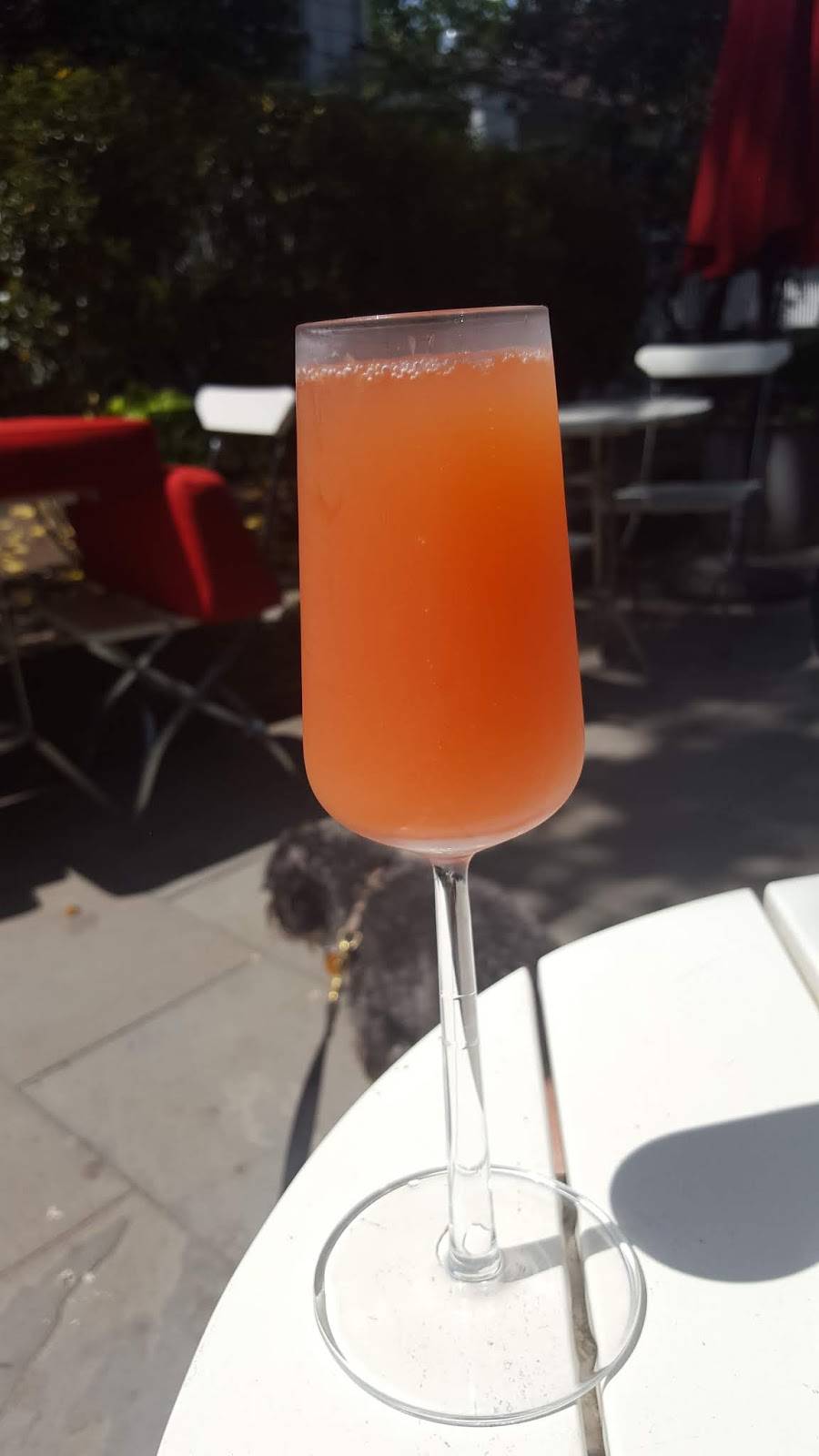 The Maidstone | restaurant | 207 Main St, East Hampton, NY 11937, USA | 6313245006 OR +1 631-324-5006