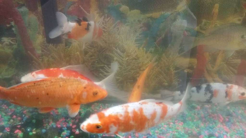 Mr Ging Chop Suey | restaurant | 3549 N Central Ave, Chicago, IL 60641, USA | 7734811323 OR +1 773-481-1323