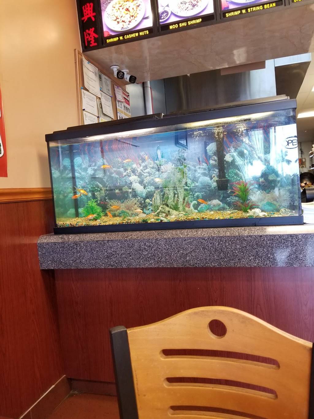 China King | restaurant | 7950 Dani Dr, Fort Myers, FL 33966, USA | 2392679888 OR +1 239-267-9888