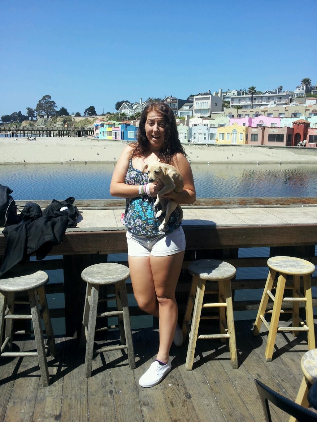 Fog Bank | restaurant | 211 Esplanade, Capitola, CA 95010, USA | 8314621881 OR +1 831-462-1881