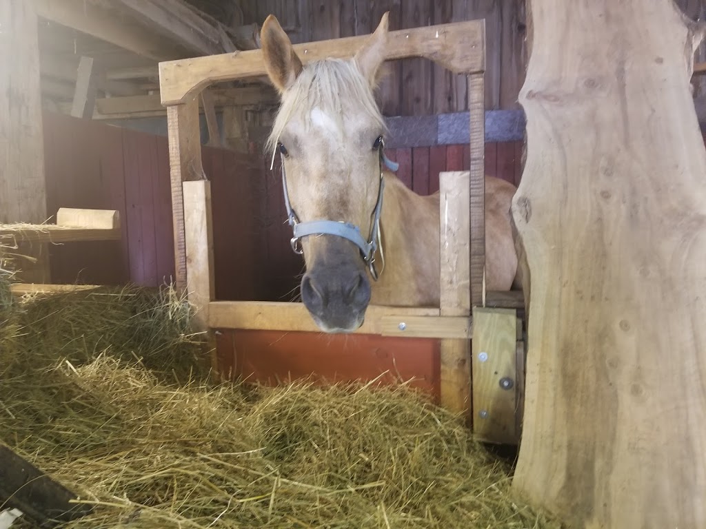 Mulberry Lane Inn Bed and Breakfast | restaurant | 5256 N County Rd 75 W, New Castle, IN 47362, USA | 7658364500 OR +1 765-836-4500