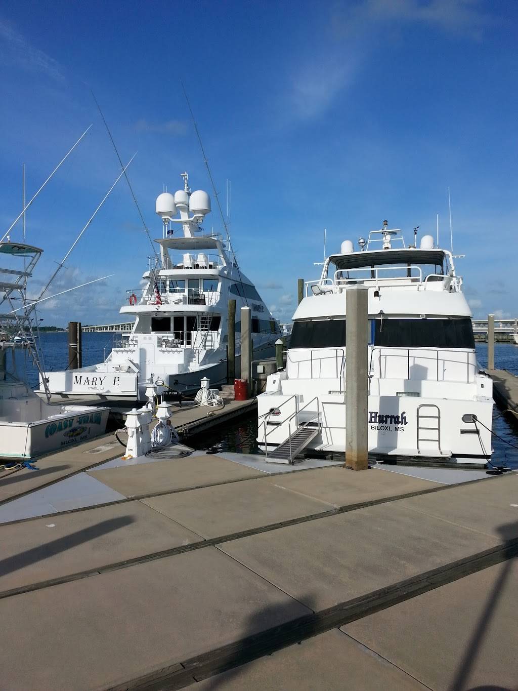 Wahoos Poolside Bar & Grill | restaurant | 4744, 158 Howard Ave, Biloxi, MS 39530, USA | 8007252239 OR +1 800-725-2239