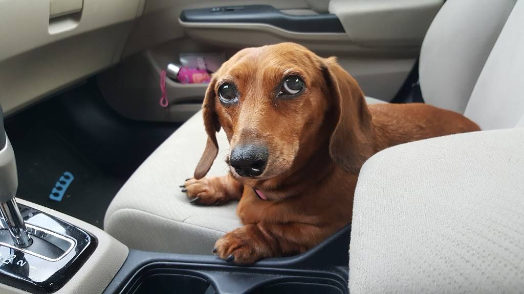 Sonic Drive-In | restaurant | 11110 Midlothian Turnpike, Richmond, VA 23235, USA | 8043790451 OR +1 804-379-0451