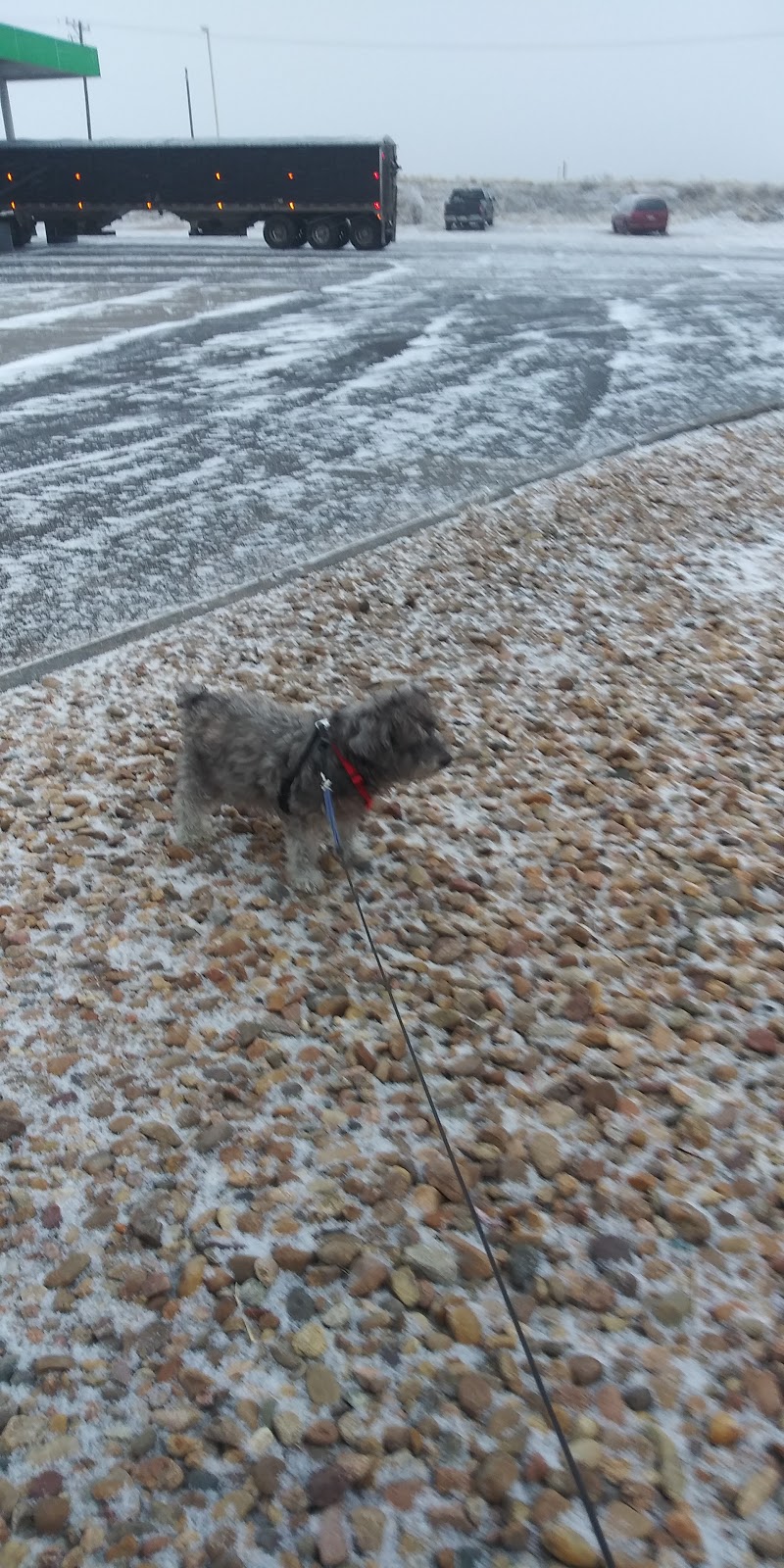 Overland Trail Cafe | restaurant | 2500 E Chestnut St, Sterling, CO 80751, USA | 9705221871 OR +1 970-522-1871