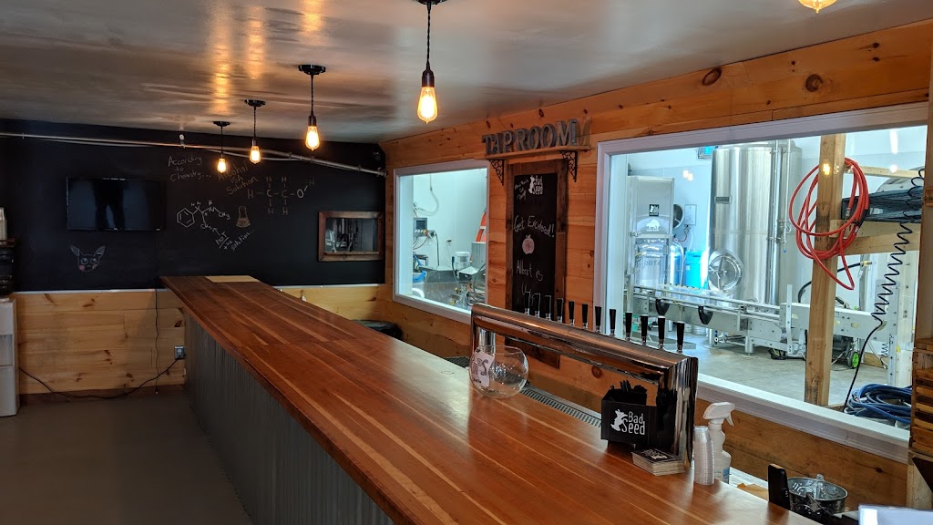 Bad Seed Cider Taproom | restaurant | 43 Baileys Gap Rd, Highland, NY 12528, USA | 8452360956 OR +1 845-236-0956