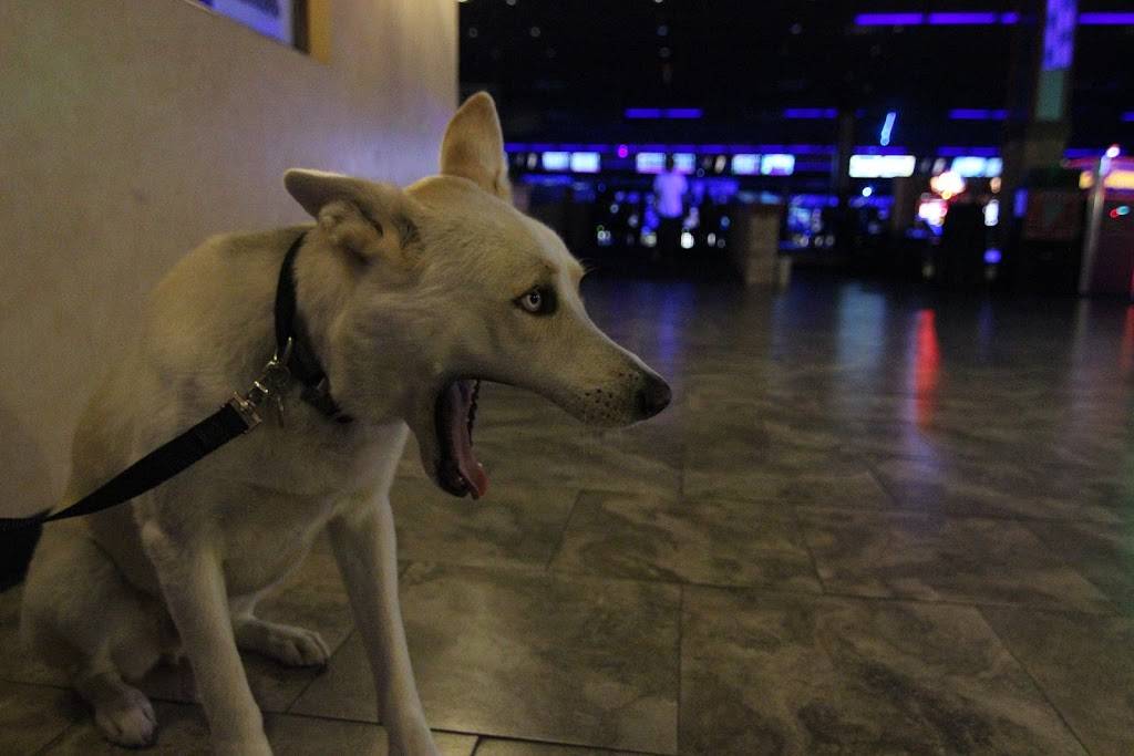 Chaparral 300 | meal takeaway | 4191 Chino Hills Pkwy, Chino Hills, CA 91709, USA | 9093427889 OR +1 909-342-7889