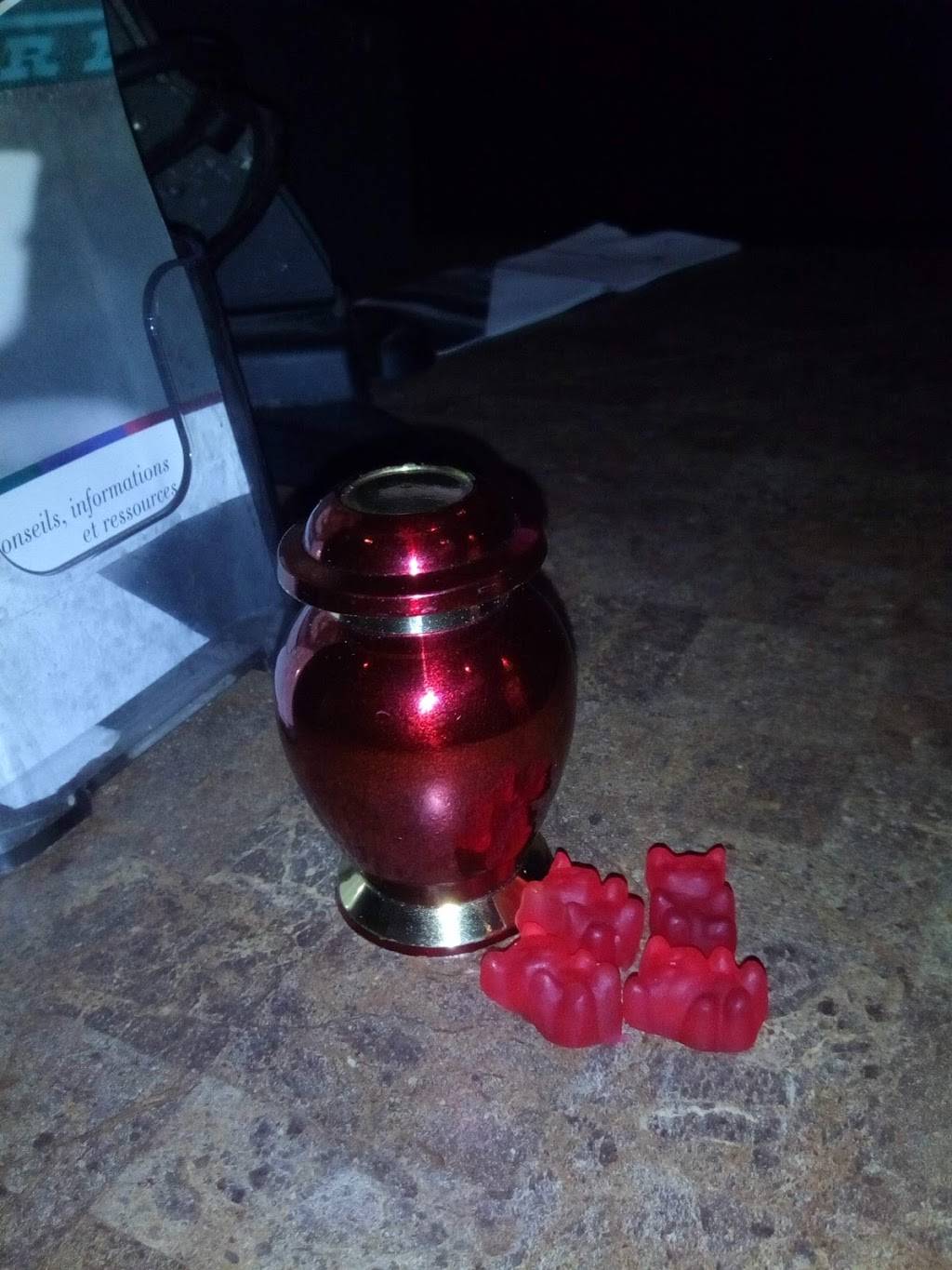 Jockey Taverne Racée | restaurant | 365 Avenue Dorval, Dorval, QC H9S 3H6, Canada | 5144220070 OR +1 514-422-0070