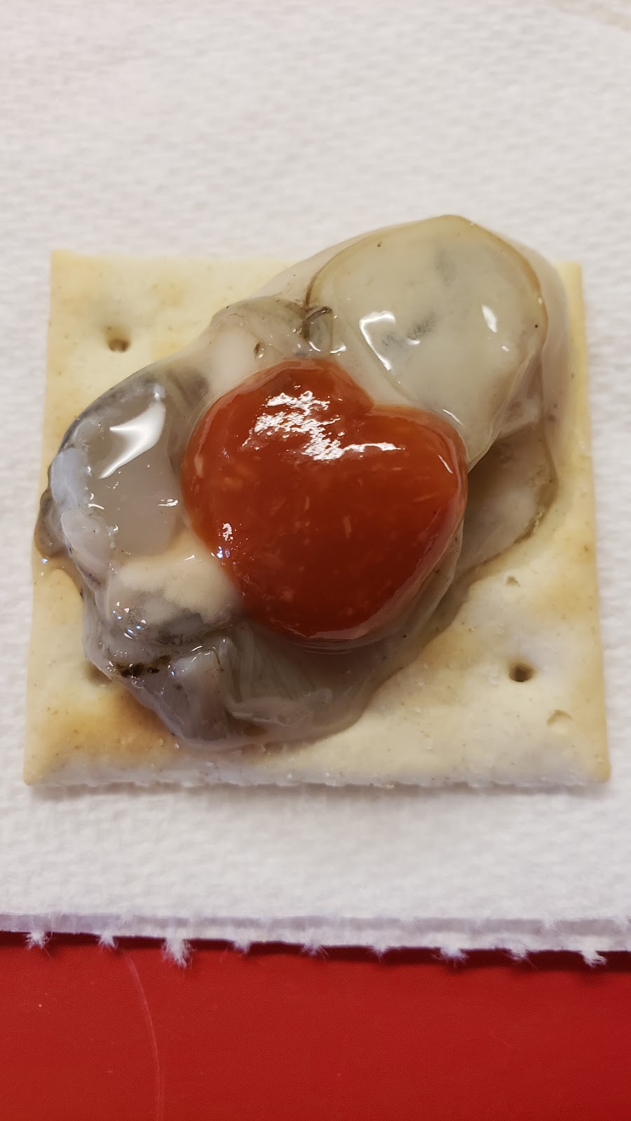 Barrentine Fish Market & Oyster Bar | meal takeaway | 1722 Reeves St, Dothan, AL 36303, USA | 3347923466 OR +1 334-792-3466