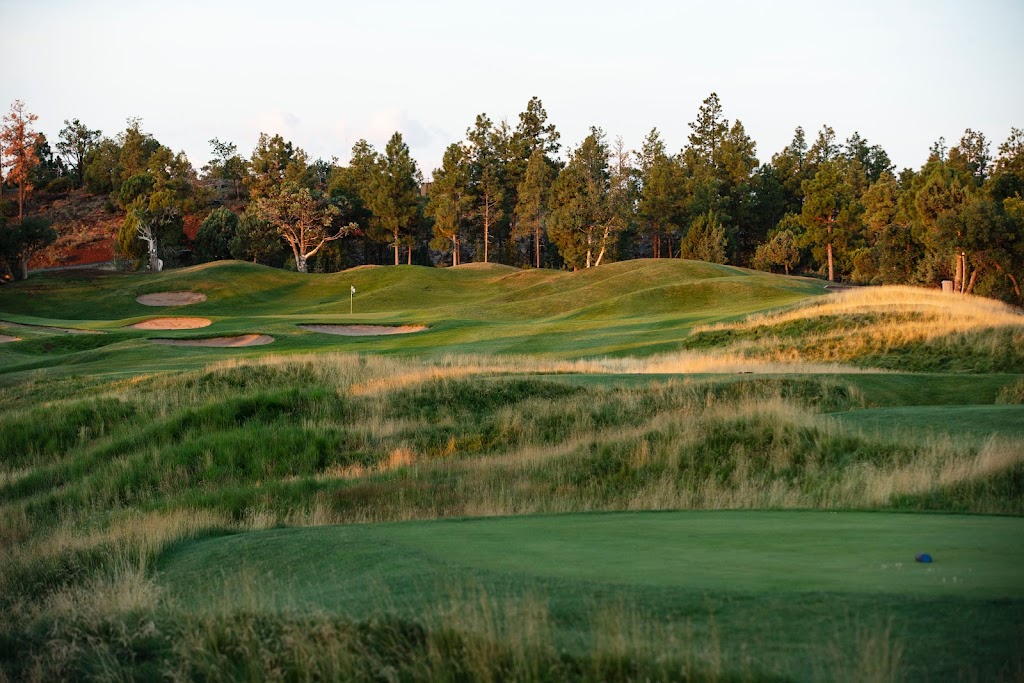 Torreon Golf Club | restaurant | 651 S Torreon Loop, Show Low, AZ 85901, USA | 9285328000 OR +1 928-532-8000