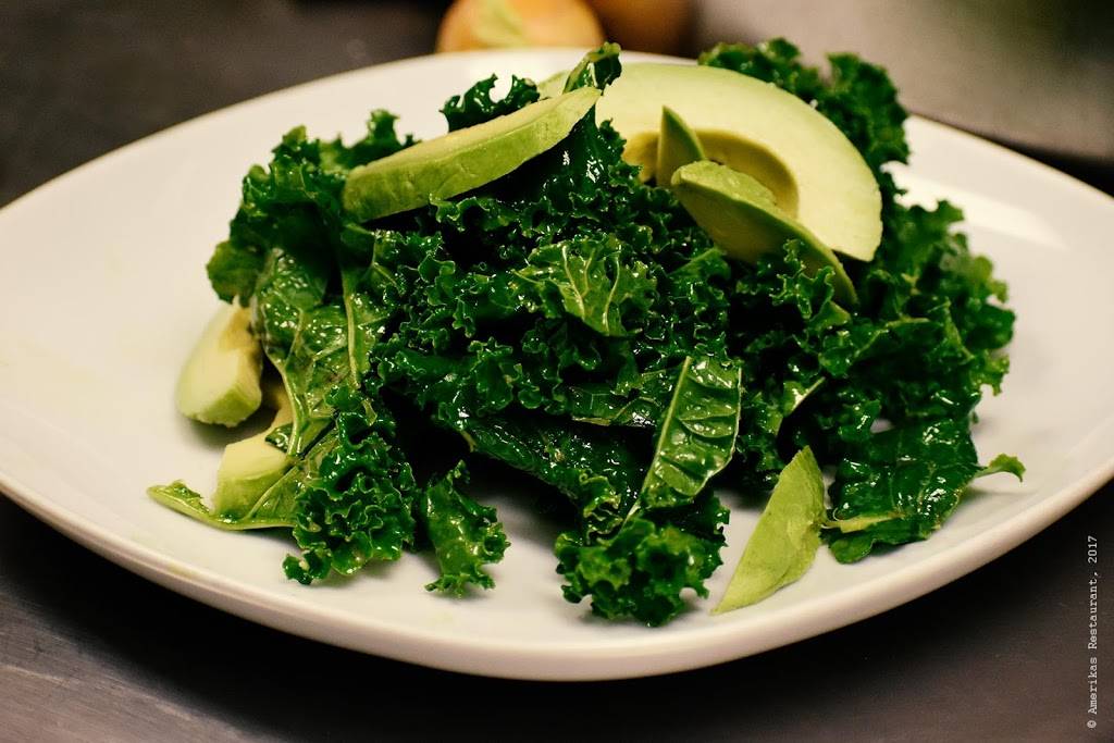 Amerikas Restaurant | restaurant | 734 Lake St, Oak Park, IL 60301, USA | 7086134254 OR +1 708-613-4254