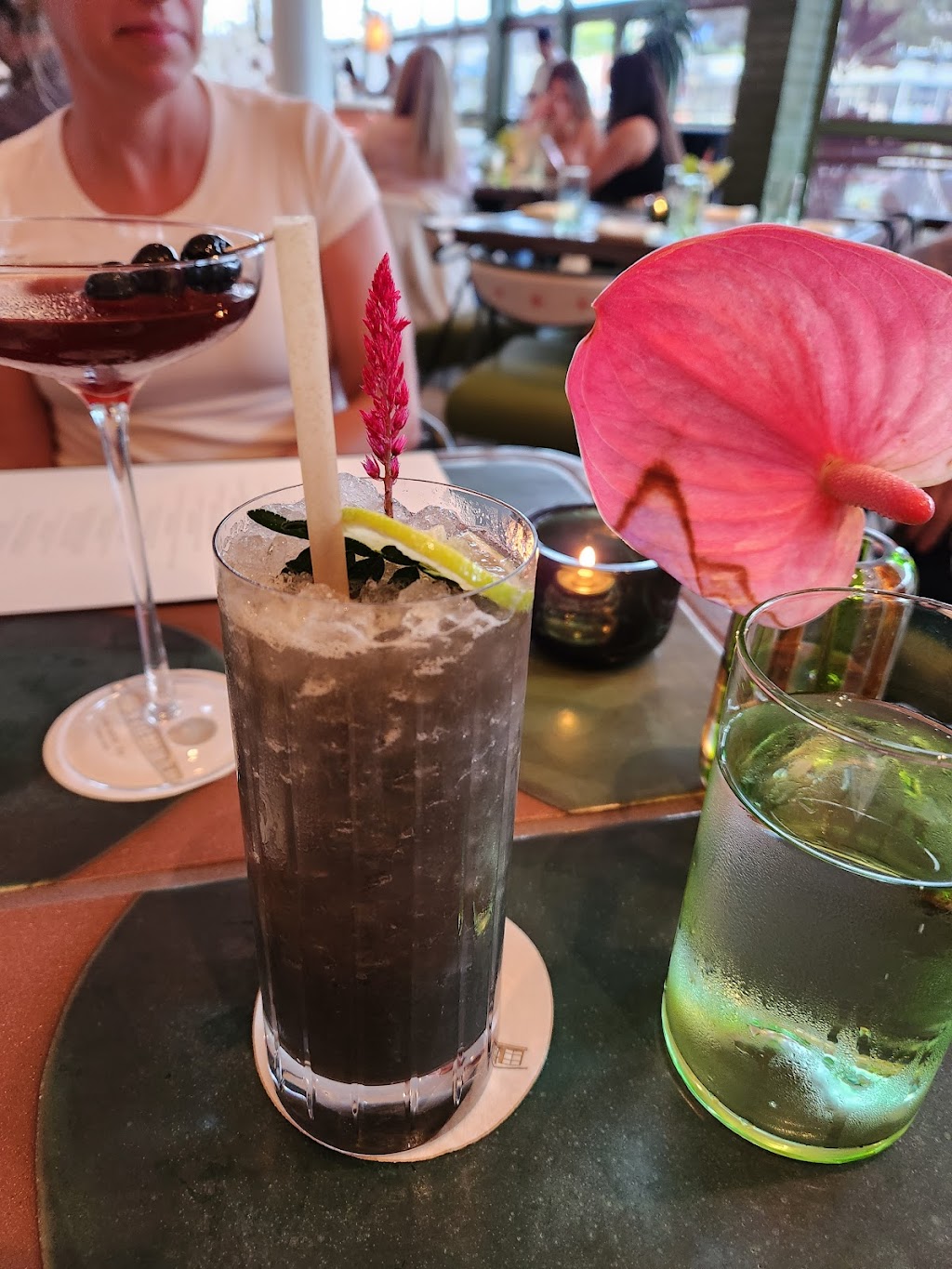 Paradisaea | restaurant | 5680 La Jolla Blvd, San Diego, CA 92037, USA | 8582558011 OR +1 858-255-8011