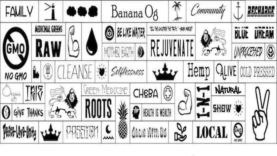 Rock Steady Juice Joint | cafe | 201 US-1 C5B, Jupiter, FL 33477, USA | 5614066242 OR +1 561-406-6242