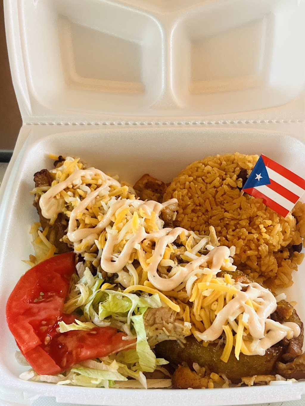 Taste of Puerto Rico sazón boricua | restaurant | 50 Palmer St, St. Augustine, FL 32084, USA | 9048266370 OR +1 904-826-6370