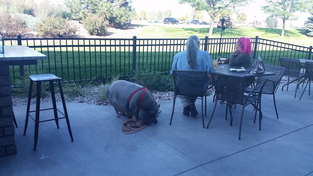 Lazy Dog Johnstown | restaurant | 4801 Thompson Pkwy, Johnstown, CO 80534, USA | 9706608874 OR +1 970-660-8874