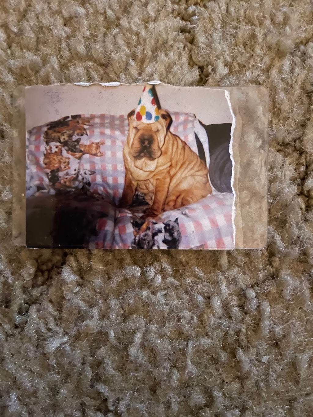 Po Folks Restaurant | restaurant | 6895 N 9th Ave, Pensacola, FL 32504, USA | 8509128121 OR +1 850-912-8121