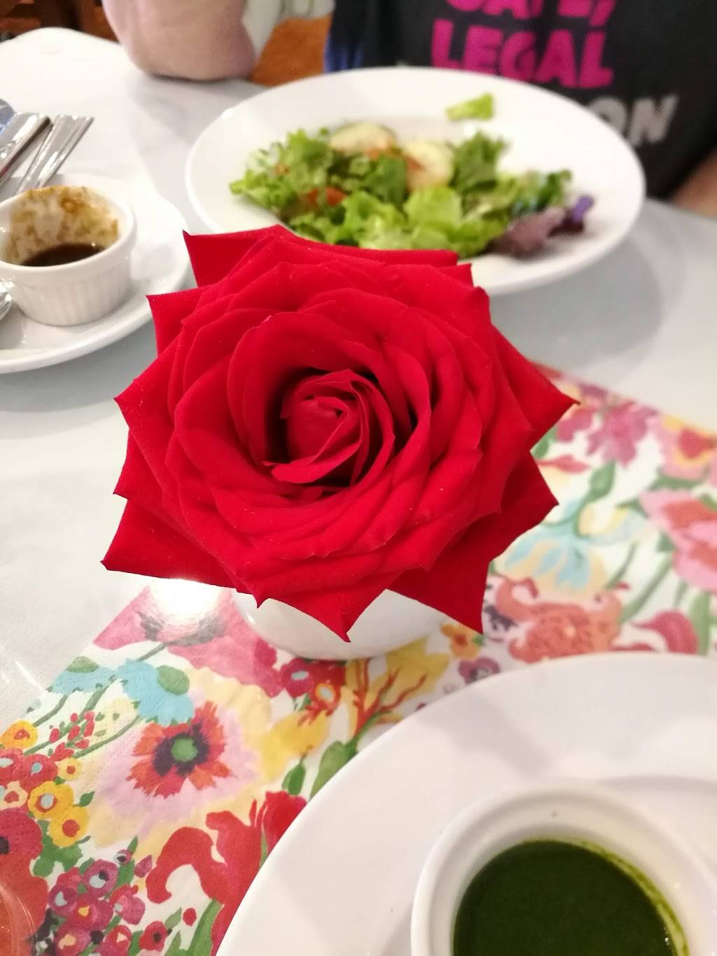 Jyotis World Cuisine | restaurant | 7128-A Albemarle Rd, Charlotte, NC 28227, USA | 7045699193 OR +1 704-569-9193