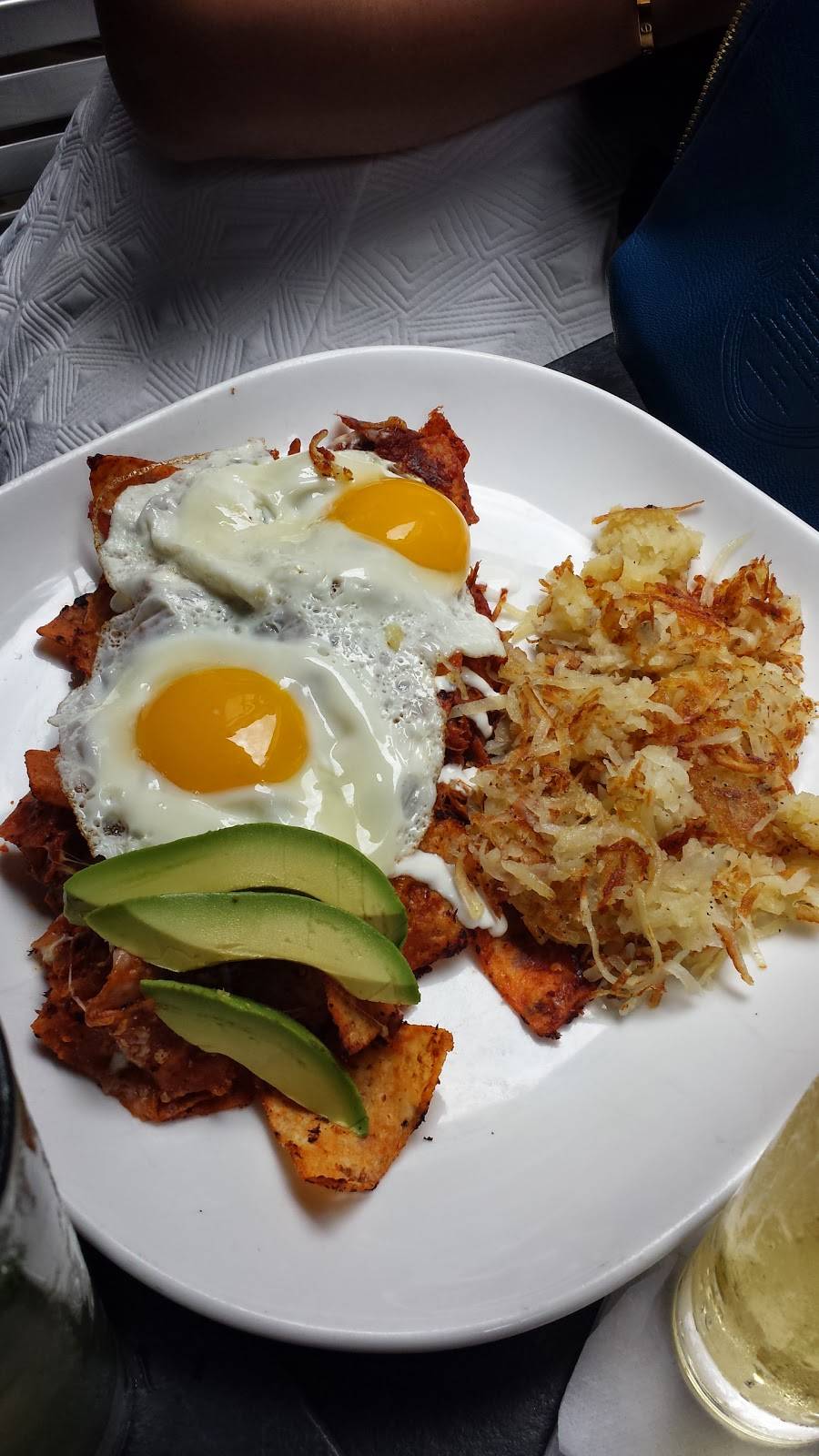 Blue Line Lounge & Grill | restaurant | 1548 N Damen Ave, Chicago, IL 60622, USA | 7733953700 OR +1 773-395-3700