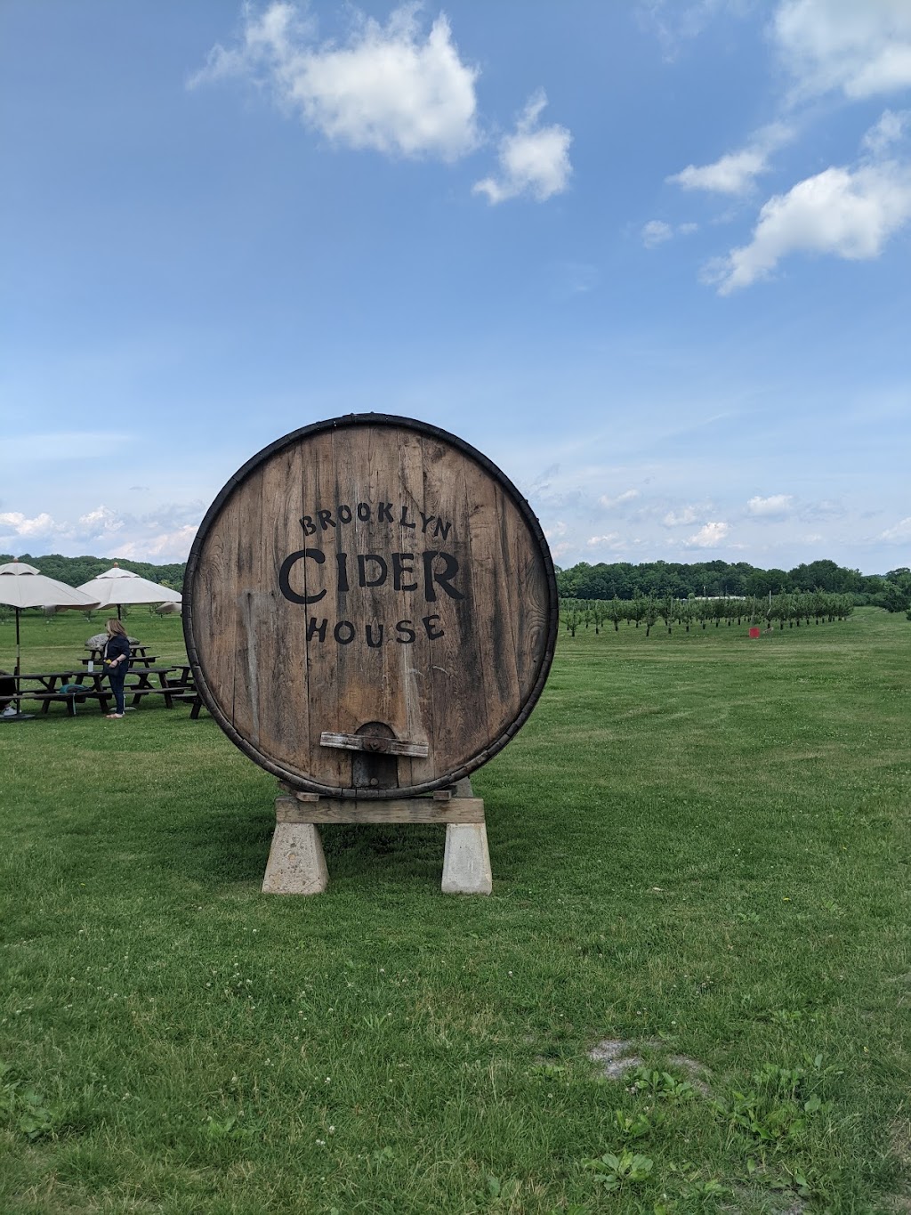 Brooklyn Cider House | restaurant | 155 N Ohioville Rd #3402, New Paltz, NY 12561, USA | 8456338657 OR +1 845-633-8657