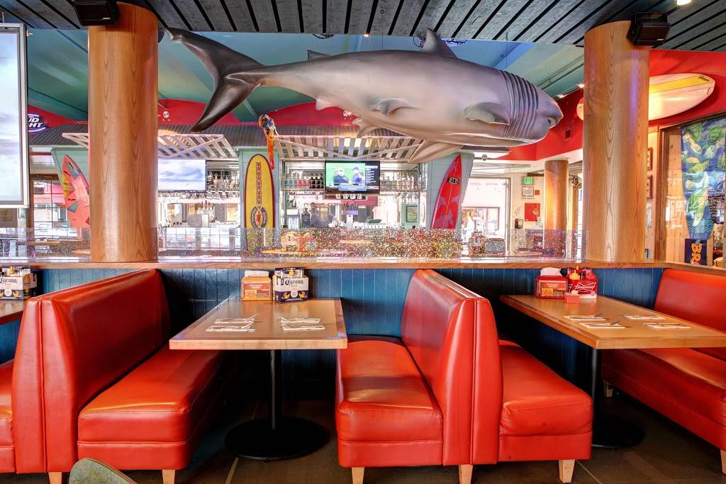 Wipeout Bar & Grill | meal takeaway | PIER 39 A-O2, San Francisco, CA 94133, USA | 4159865966 OR +1 415-986-5966