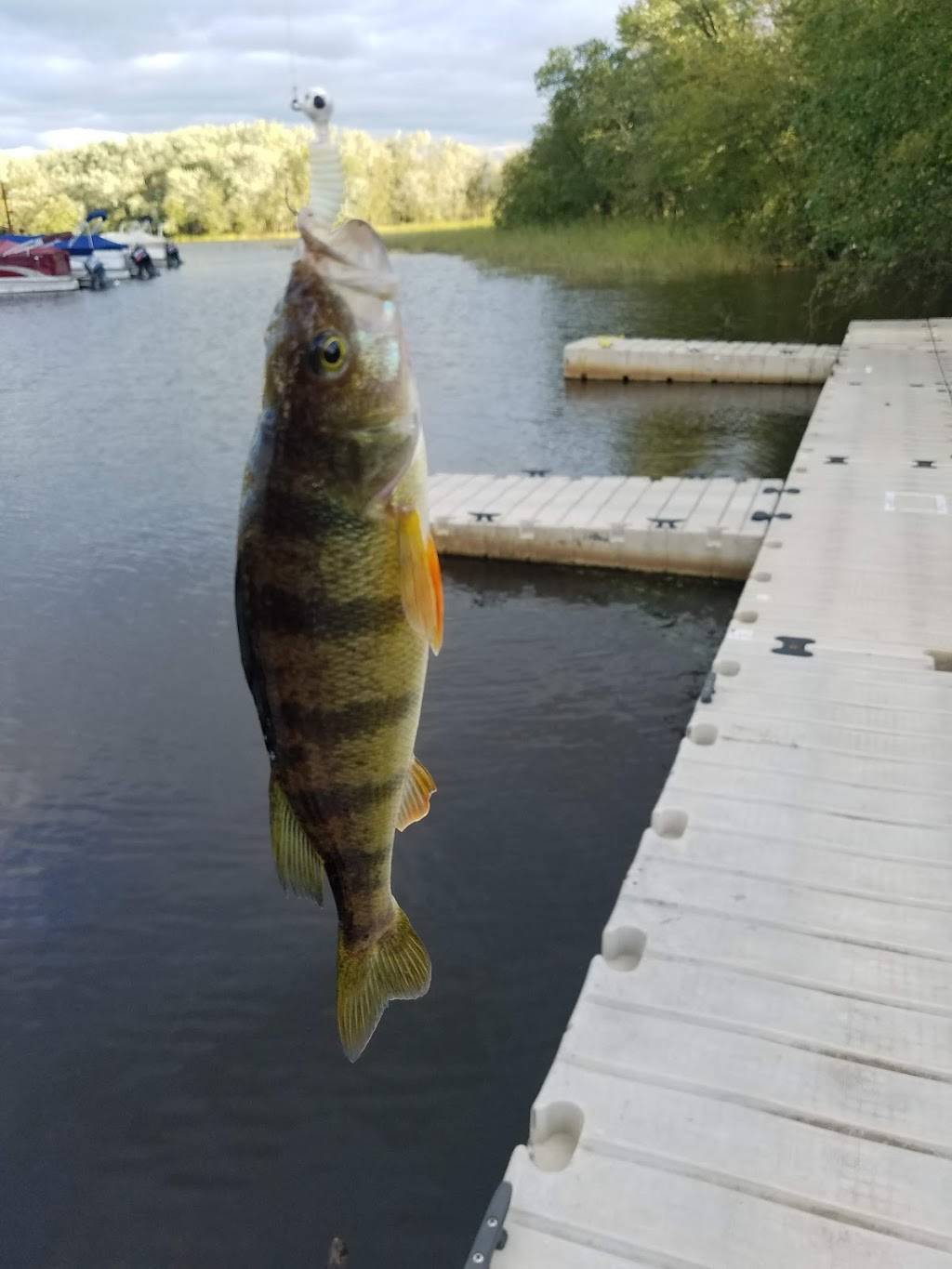 Bayside Bar & Grill | restaurant | Lyndon Station, WI 53944, USA | 6082546199 OR +1 608-254-6199