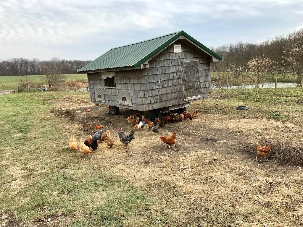 Traders Point Creamery | restaurant | 9101 Moore Rd, Zionsville, IN 46077, USA | 3177331700 OR +1 317-733-1700