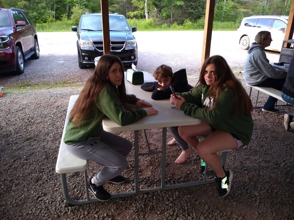 Crusins | restaurant | 476 N Sage Lake Rd, Hale, MI 48739, USA | 9894739256 OR +1 989-473-9256