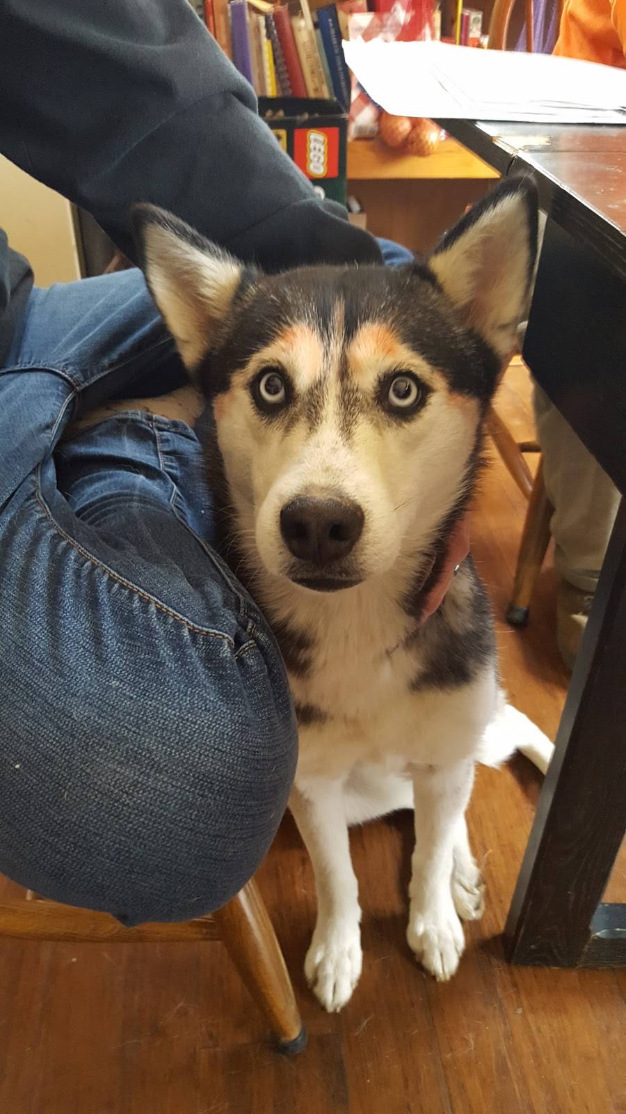 Main Event on 96th | restaurant | 8932 E 96th St, Fishers, IN 46037, USA | 3178428010 OR +1 317-842-8010