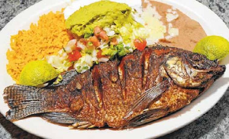 El 7 Mares Bar & Grill | restaurant | 3681 Jackson Ave, Memphis, TN 38108, USA | 9013861199 OR +1 901-386-1199