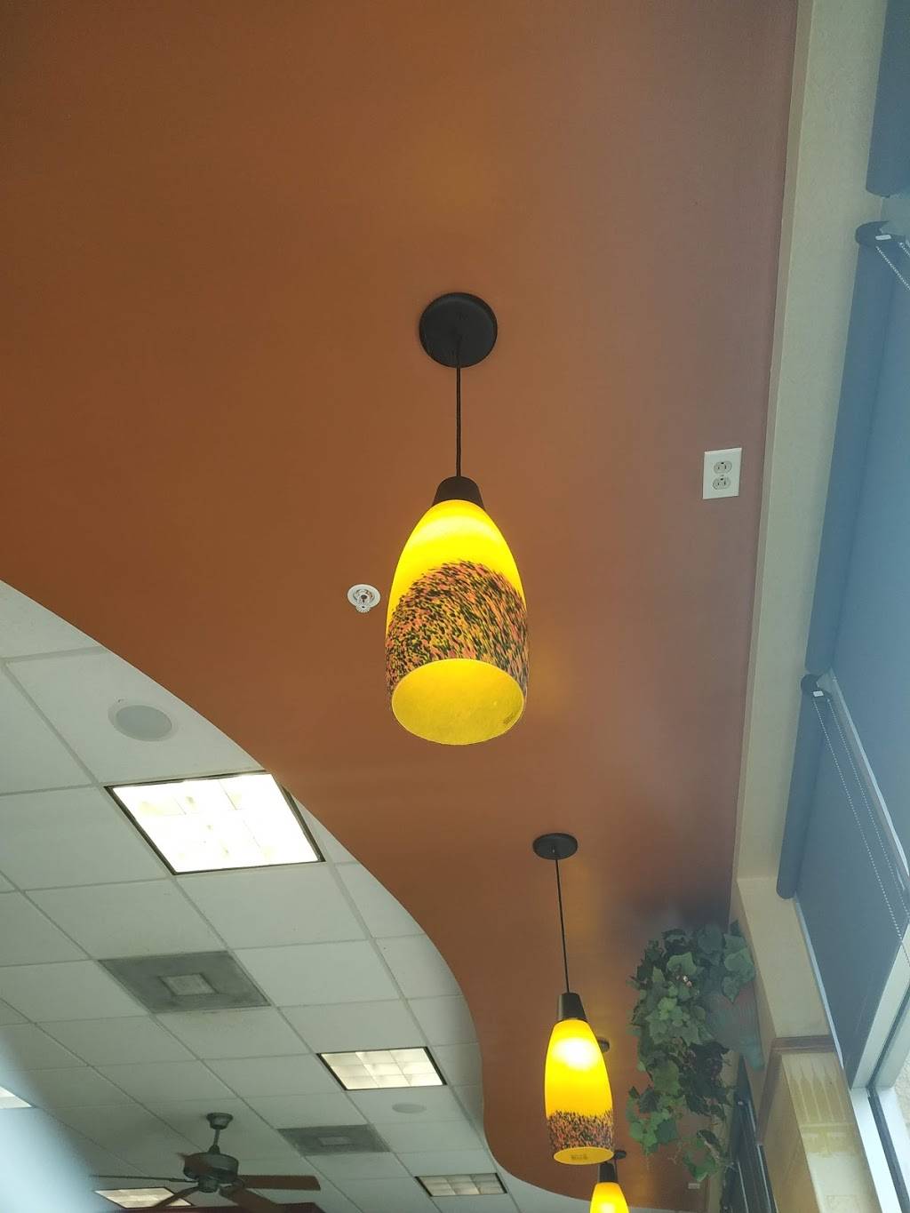 Subway | restaurant | 1169 Saxon Blvd #500, Orange City, FL 32763, USA | 3867746975 OR +1 386-774-6975