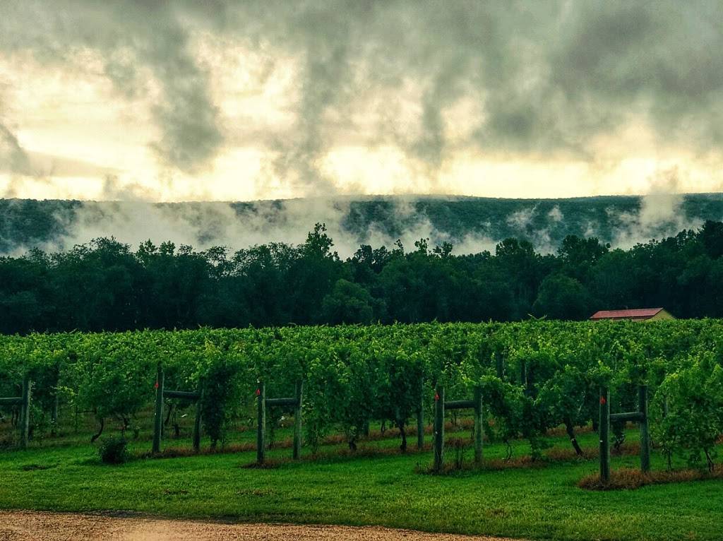 Muse Vineyards | restaurant | 16 Serendipity Ln, Woodstock, VA 22664, USA | 5404597033 OR +1 540-459-7033