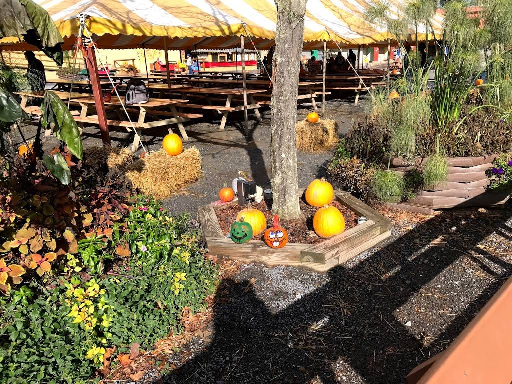 Phoenix Junction | restaurant | Elysburg, PA 17824, USA | 8004874386 OR +1 800-487-4386