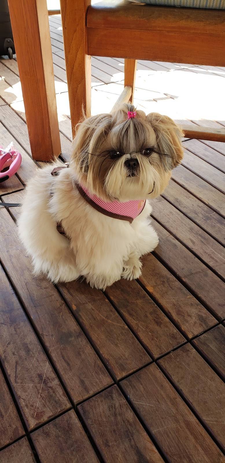 Coastline | restaurant | 1540 Camino Del Mar, Del Mar, CA 92014, USA | 8587936460 OR +1 858-793-6460