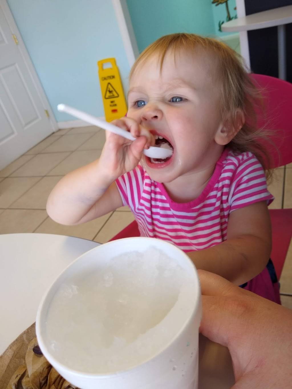 Pelicans Snoballs | meal takeaway | 1016 Tusculum Blvd, Greeneville, TN 37745, USA | 4239725125 OR +1 423-972-5125