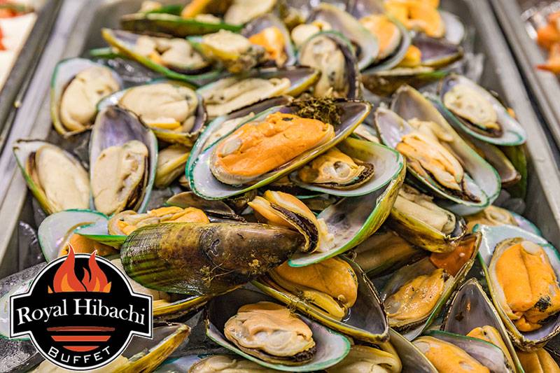 Royal Hibachi Grill Buffet | restaurant | 189 US-46, Saddle Brook, NJ 07663, USA | 2019685886 OR +1 201-968-5886