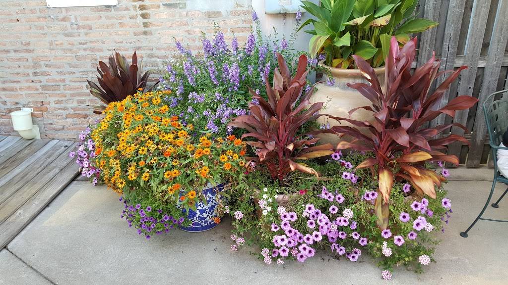 Marios Tacos | restaurant | 13325 Old Western Ave, Blue Island, IL 60406, USA | 7083894023 OR +1 708-389-4023