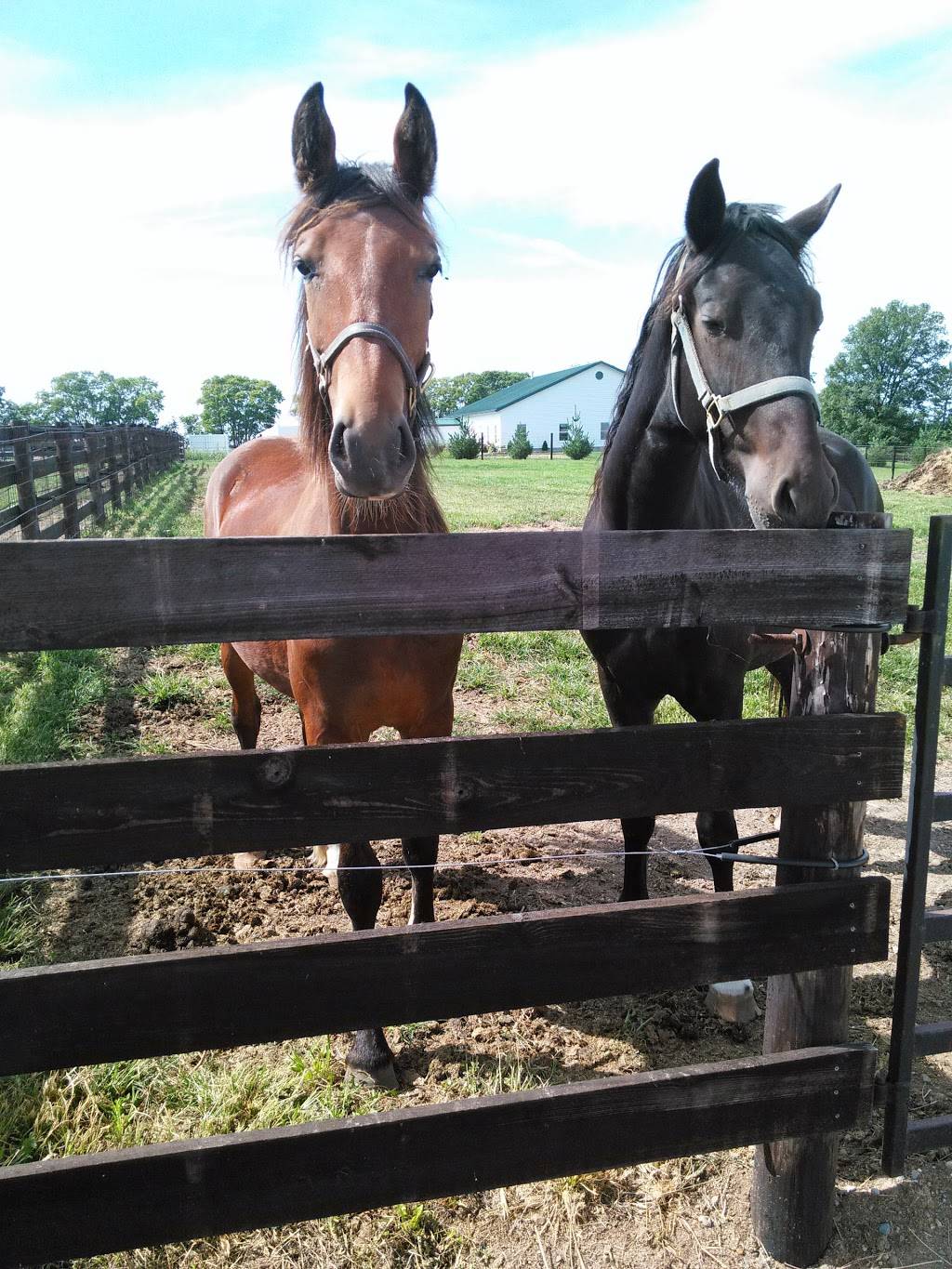 The Carriage House | restaurant | Topeka, IN 46571, USA | 2607688199 OR +1 260-768-8199