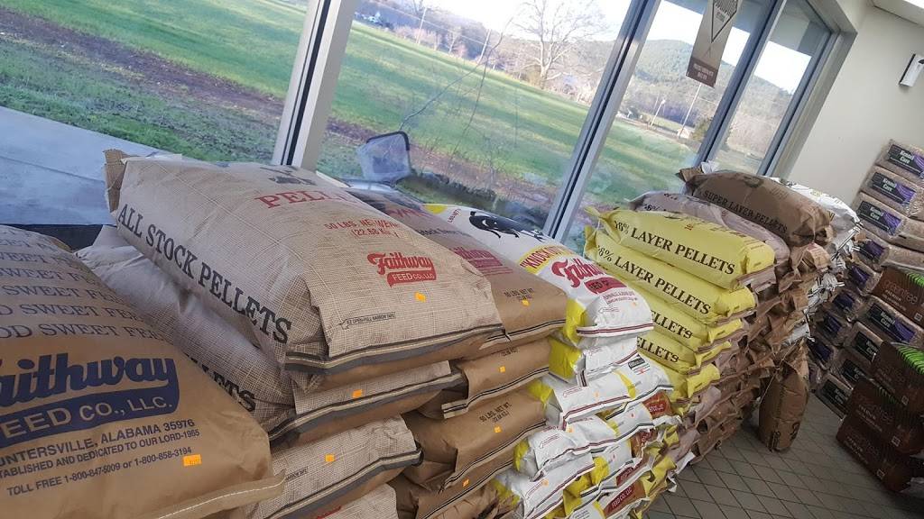 Stewards Market #102 | meal takeaway | 8960 AL-9, Anniston, AL 36207, USA | 2562310070 OR +1 256-231-0070