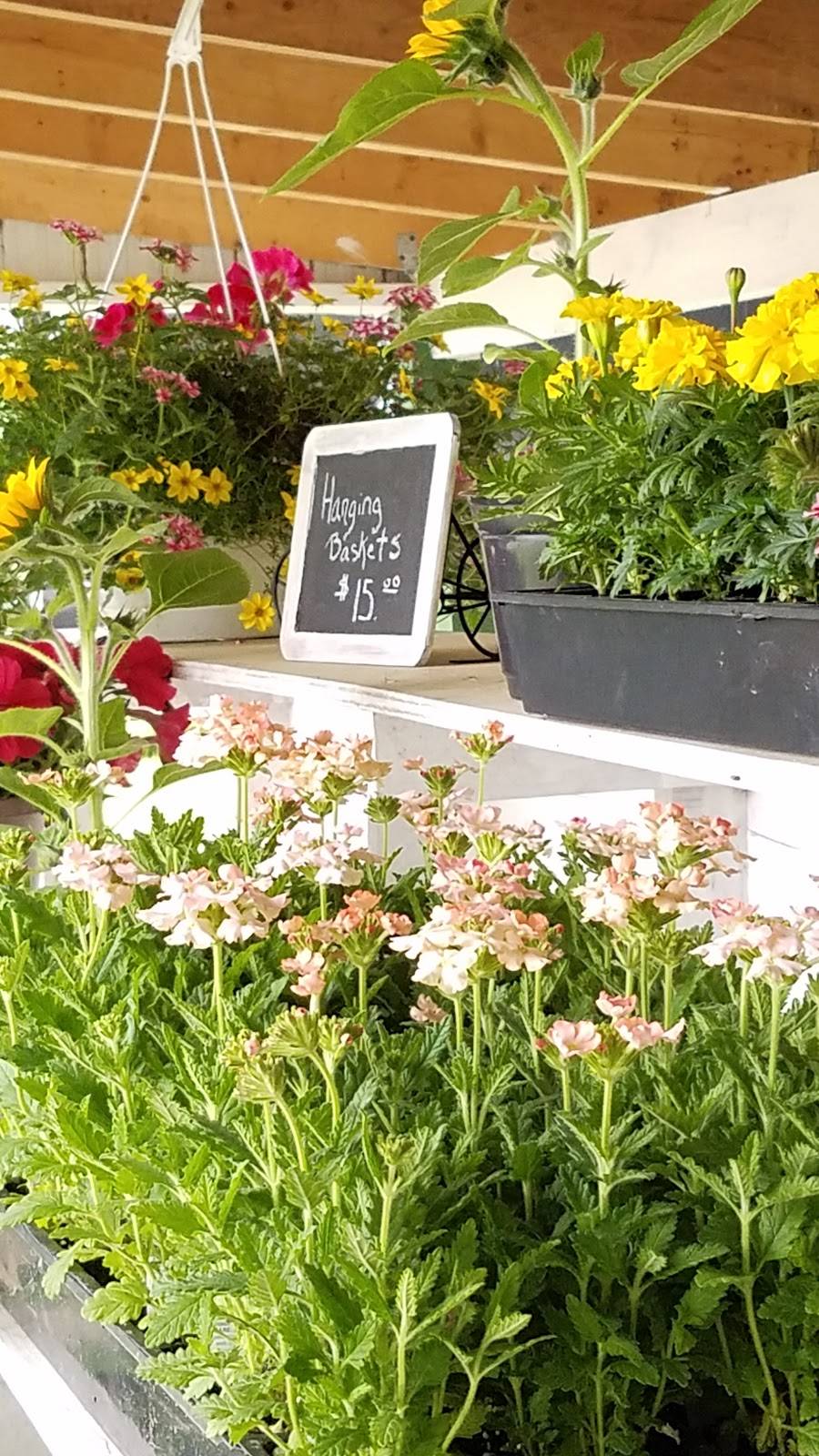 Gunthers Pit Beef & Produce | restaurant | 1501 Starr Rd, Centreville, MD 21617, USA | 4439883034 OR +1 443-988-3034