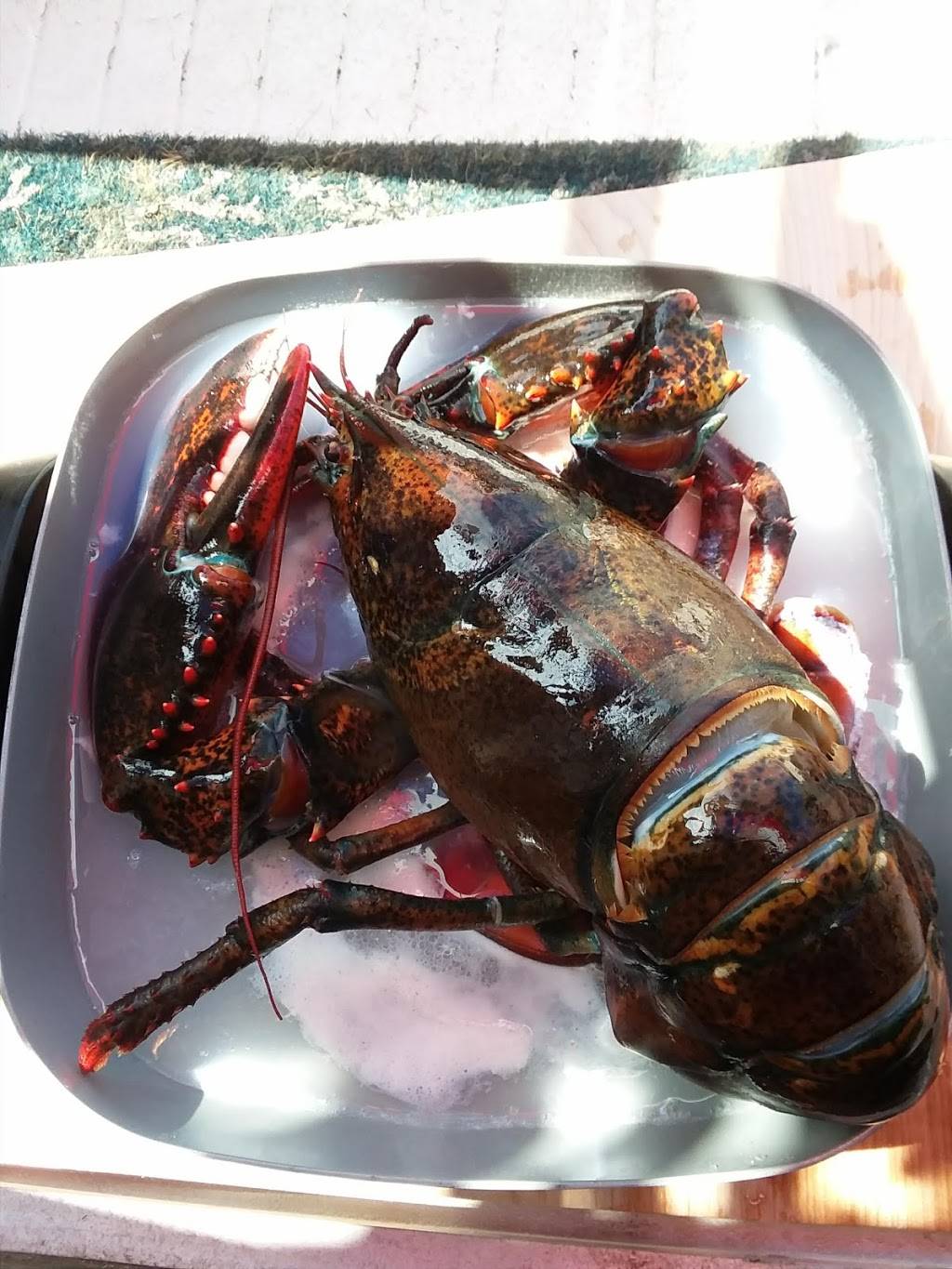 Nauset Fish & Lobster Pool | restaurant | 38 MA-6A, Orleans, MA 02653, USA | 5082551019 OR +1 508-255-1019