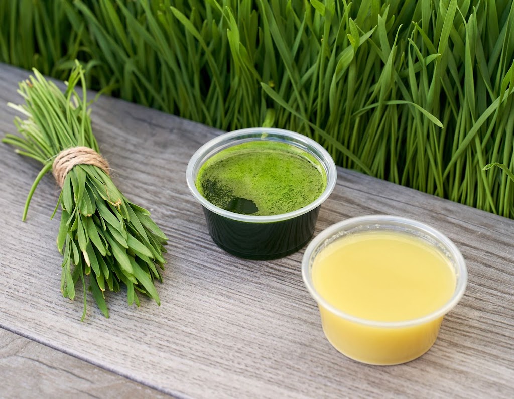 Juice It Up! | restaurant | 1060 E Copper Ave Ste 103, Fresno, CA 93730, USA | 5595156268 OR +1 559-515-6268