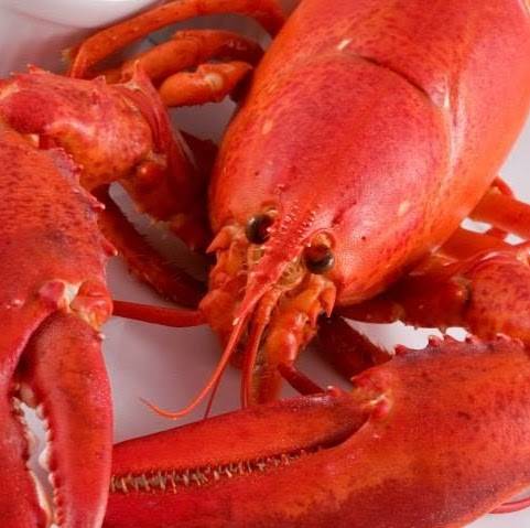 Liberty Lobster | restaurant | 35 Homers Wharf, New Bedford, MA 02740, USA | 5089974500 OR +1 508-997-4500