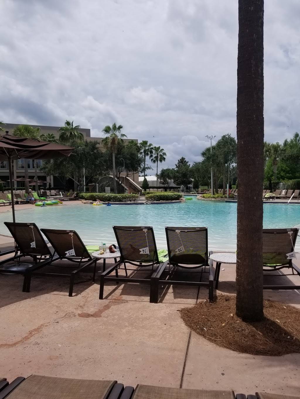 Beech | restaurant | 14100 Bonnet Creek Resort Ln, Orlando, FL 32821, USA | 4075973660 OR +1 407-597-3660