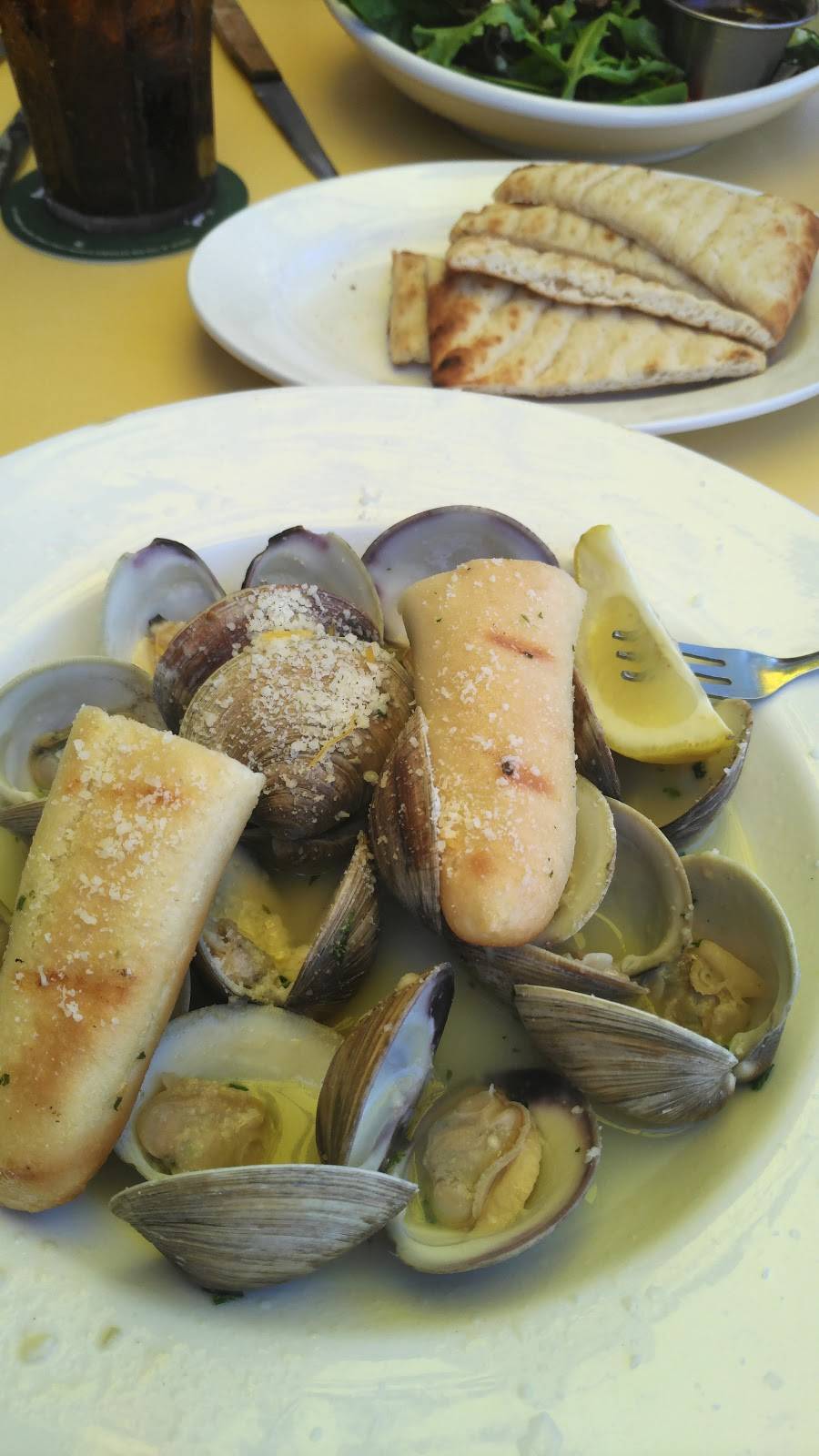 Daiquiri Deck Island of Venice | restaurant | 300 W Venice Ave, Venice, FL 34285, USA | 9414880649 OR +1 941-488-0649