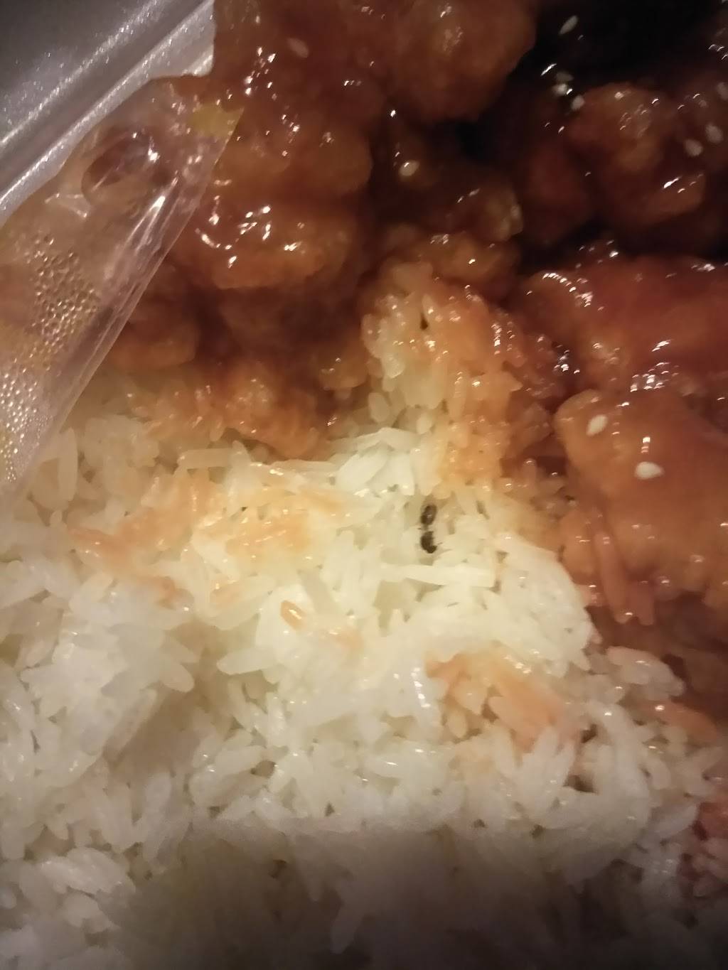 Won Chinese Restaurant | restaurant | 6703 Ogontz Ave, Philadelphia, PA 19126, USA | 2152245125 OR +1 215-224-5125