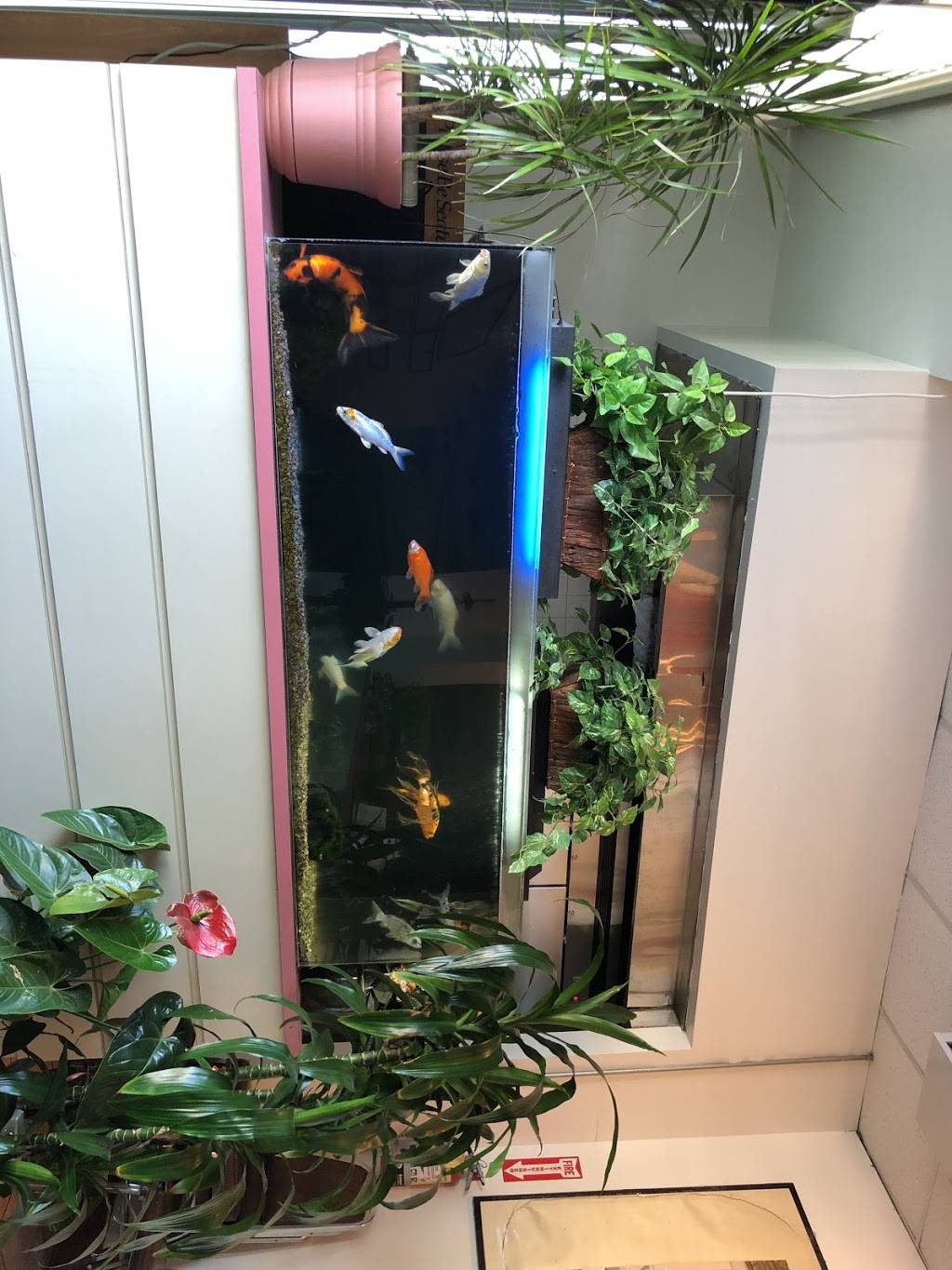 MANDARIN HOUSE RESTAURANT | restaurant | 4585 Pleasant Valley Rd, Camarillo, CA 93012, USA | 8059876465 OR +1 805-987-6465