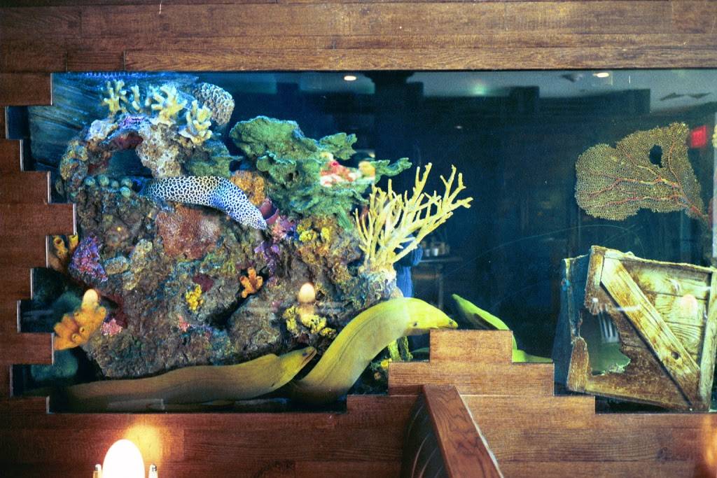 Shipwreck Tavern | restaurant | 10 Bayville Ave, Bayville, NY 11709, USA | 5166282628 OR +1 516-628-2628