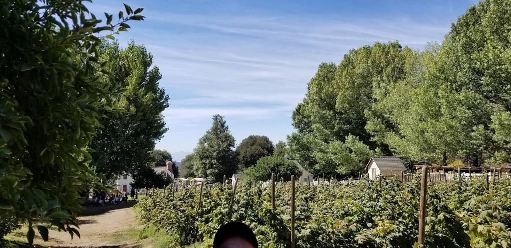 Rileys Farm | restaurant | 12261 Oak Glen Rd, Yucaipa, CA 92399, USA | 9097977534 OR +1 909-797-7534