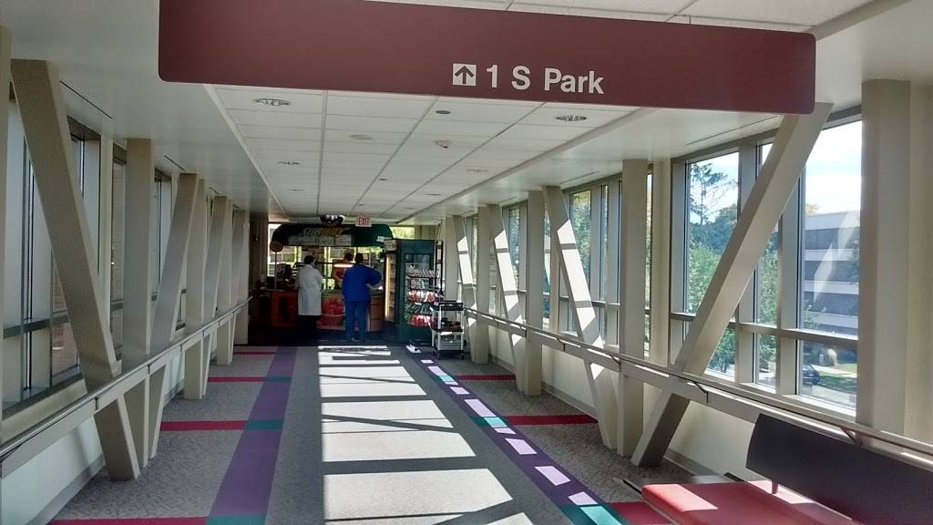 Subway | restaurant | 1 S Park St, Madison, WI 53715, USA | 6082872274 OR +1 608-287-2274