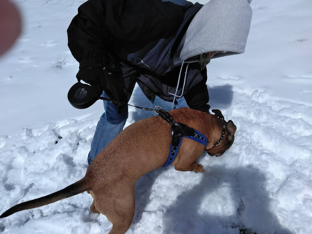 Here & there Grill | restaurant | 330-398 Dayton St, Edmonds, WA 98020, USA | 2064597414 OR +1 206-459-7414