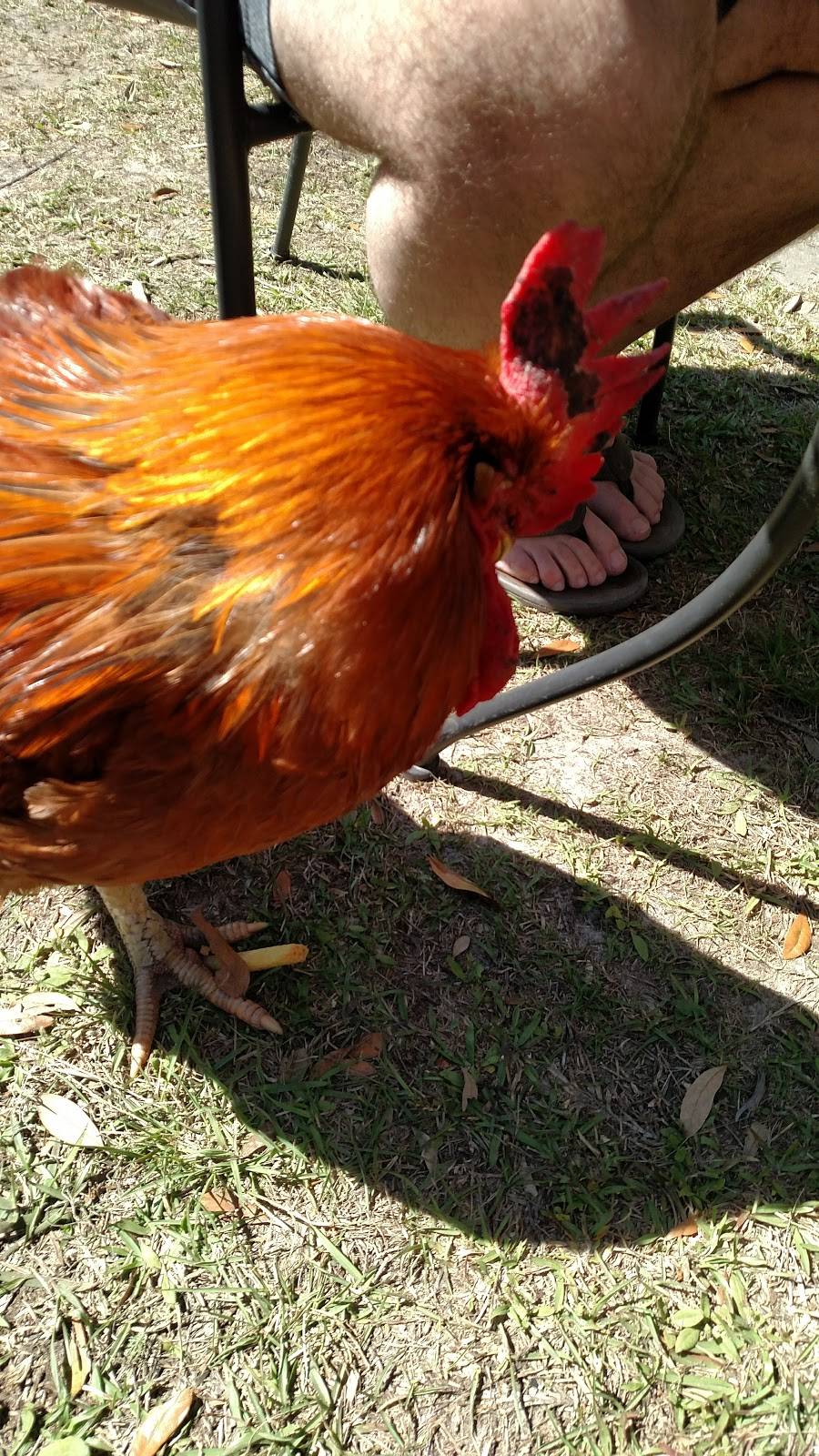 Lucy Bells | restaurant | 111 Benjies Point Rd, Daufuskie Island, SC 29915, USA | 8433416477 OR +1 843-341-6477